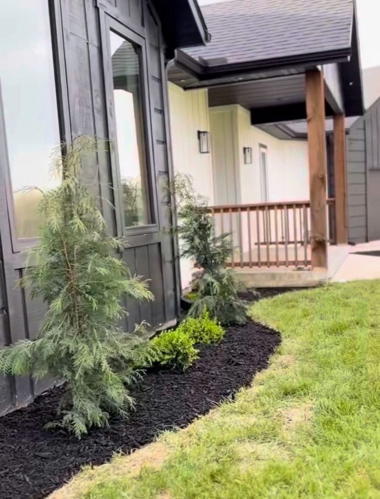 Vertical planting and stone path